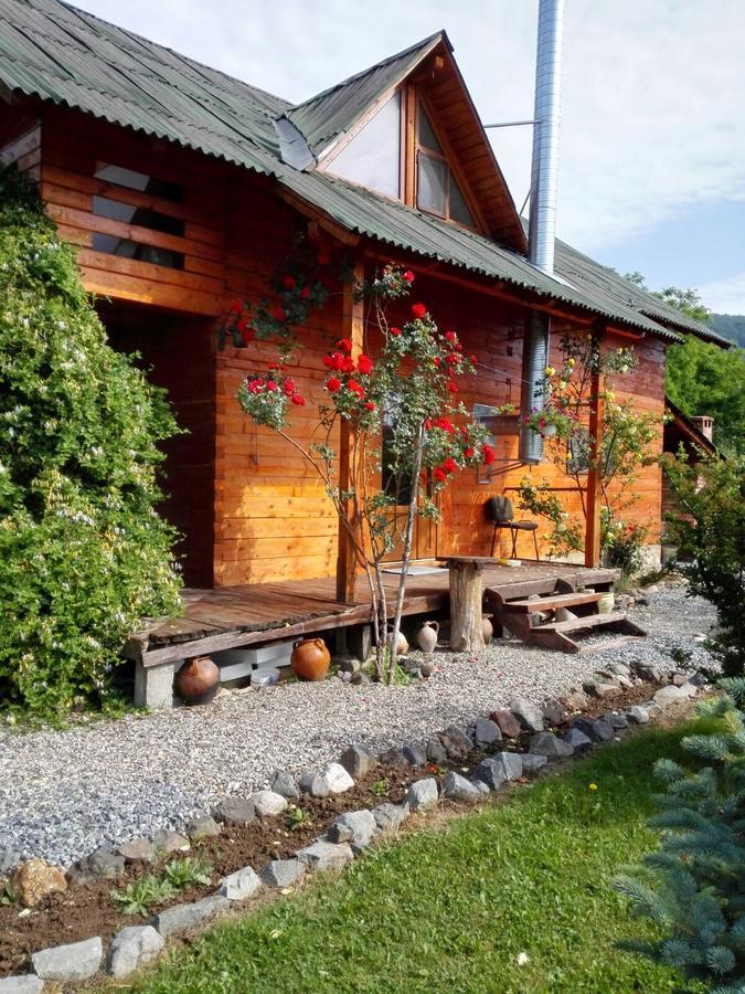 Villa The Wooden House Moldoveneşti Exterior foto